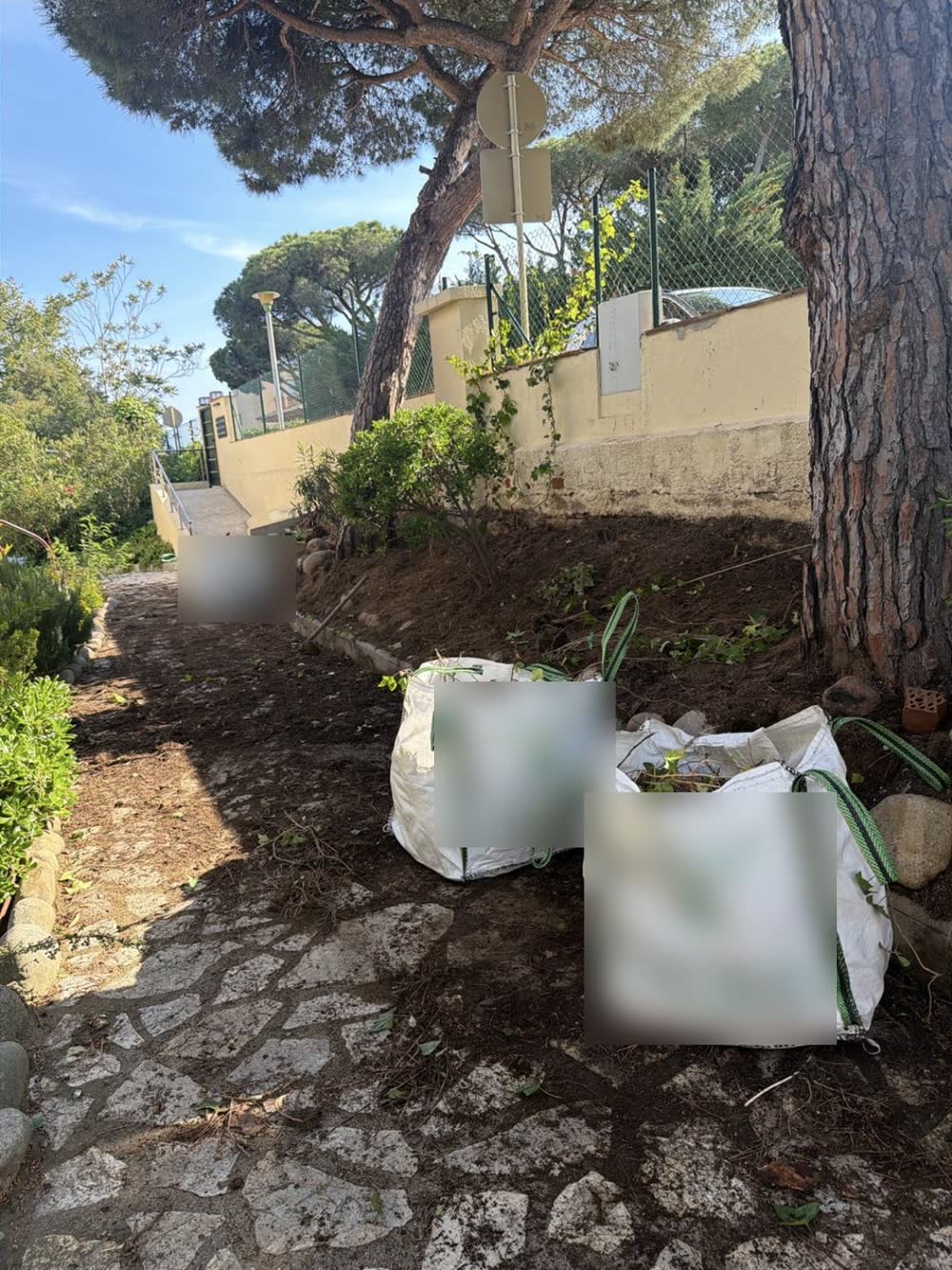 Desbroce y limpieza de parcelas en la Costa Brava — trabajo real de Jardinería Vida Verde