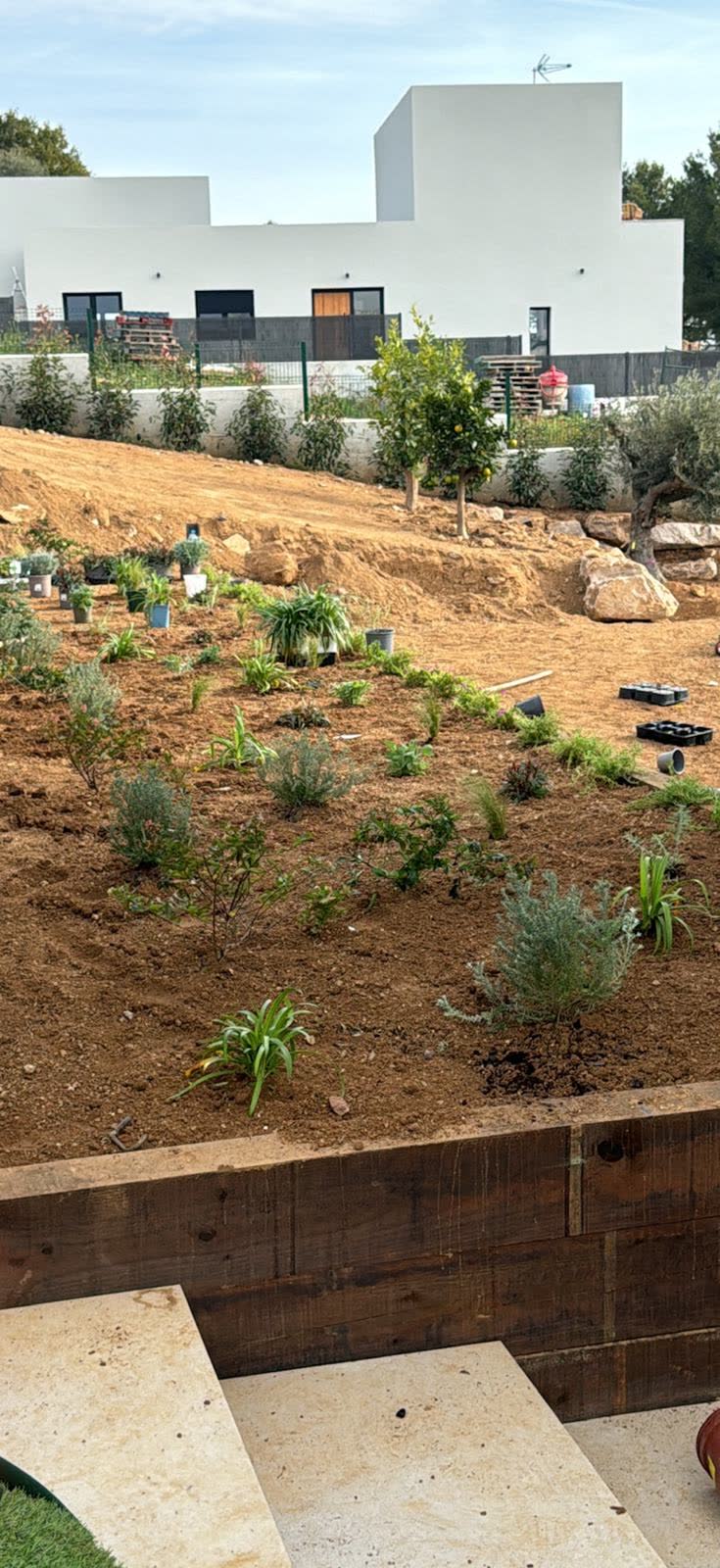Plantación de árboles, arbustos y flores en la Costa Brava — trabajo real de Jardinería Vida Verde