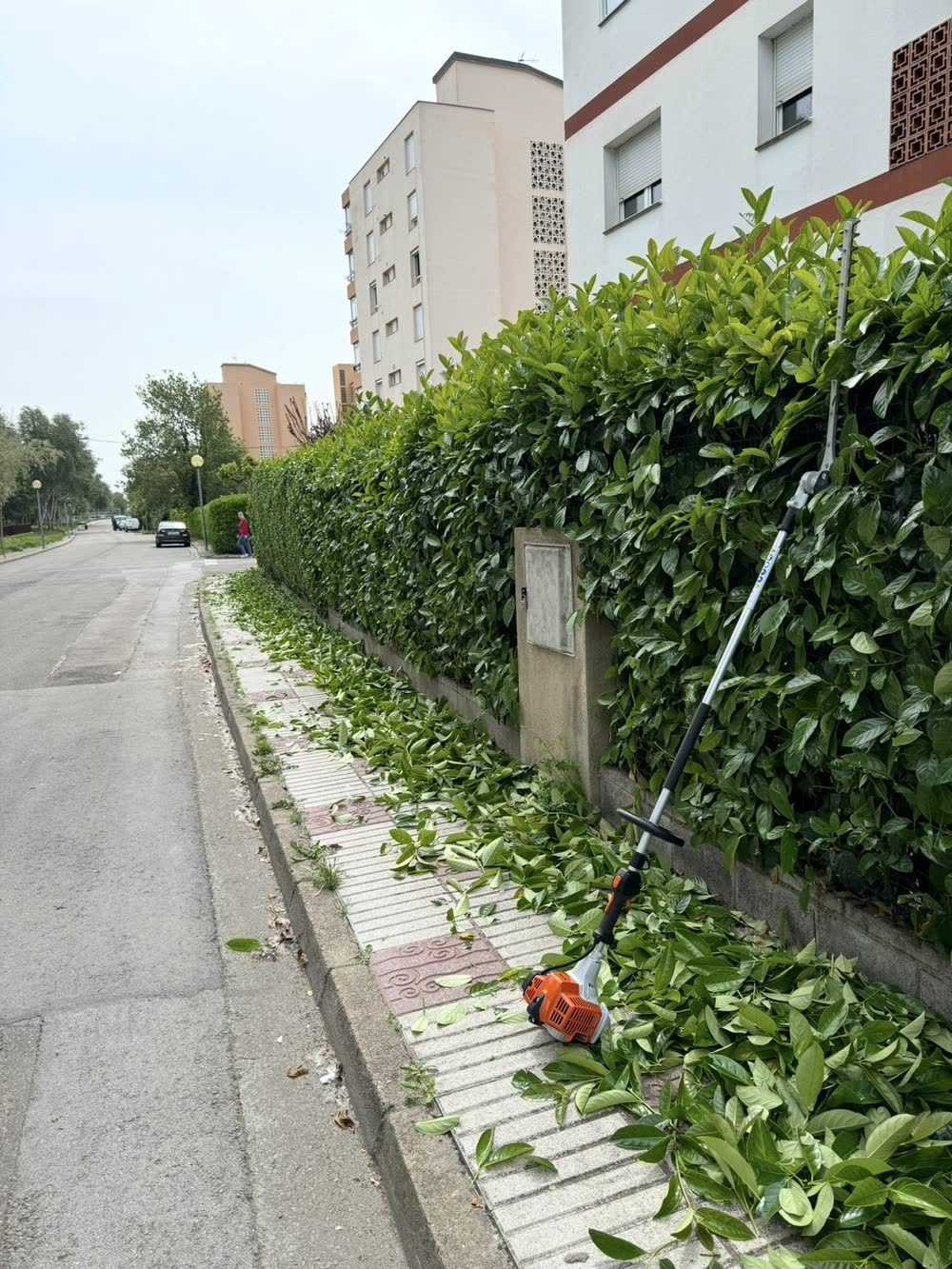 Poda de arbustos y setos en la Costa Brava — trabajo real de Jardinería Vida Verde