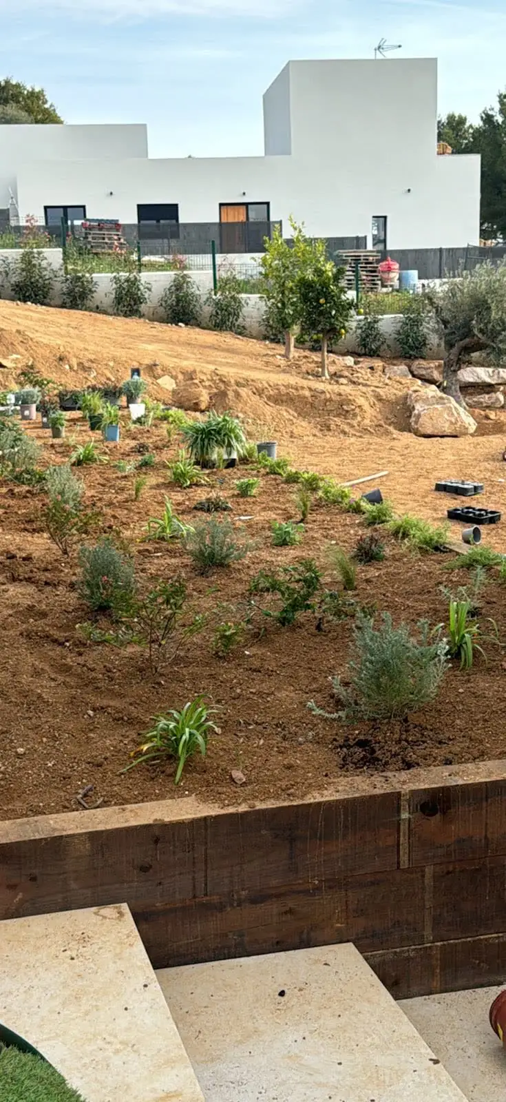 Plantación de un talud junto a una vivienda