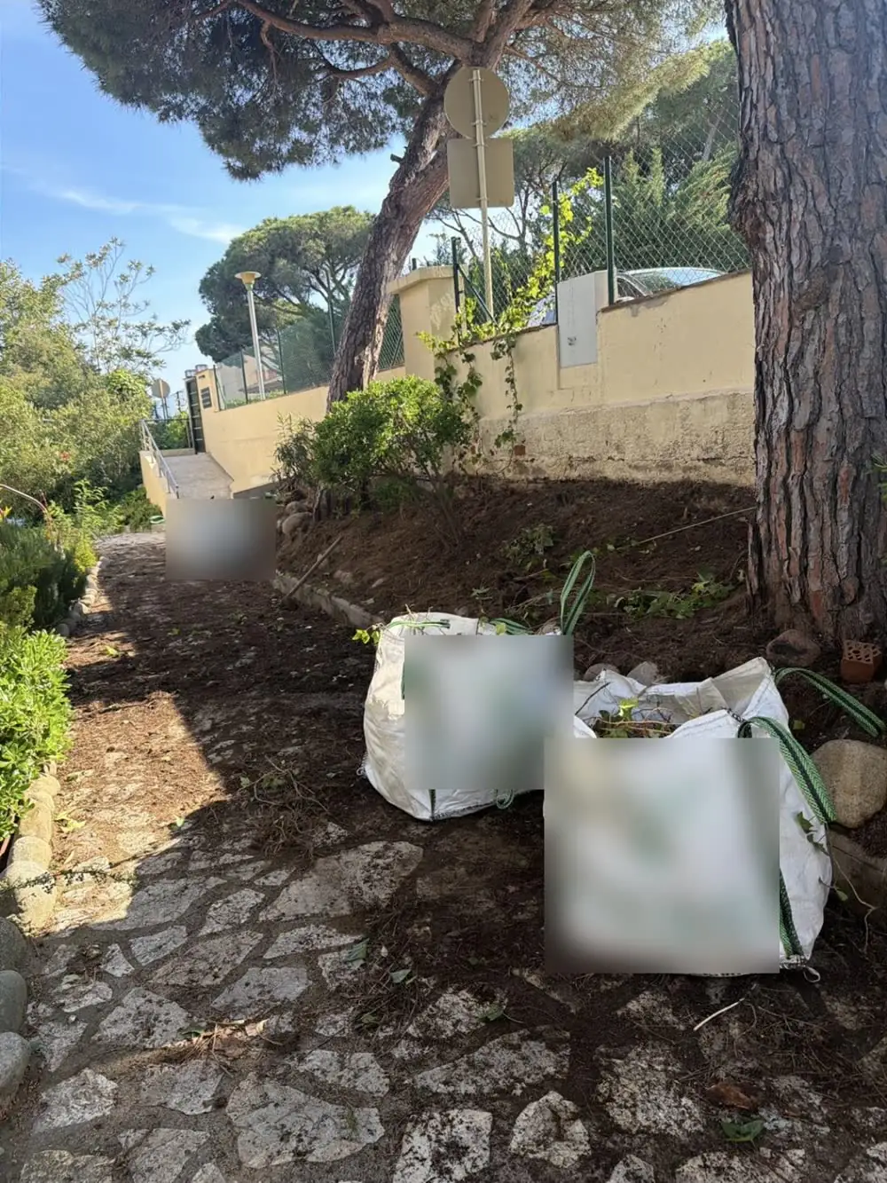 Recogida de restos vegetales en sacos