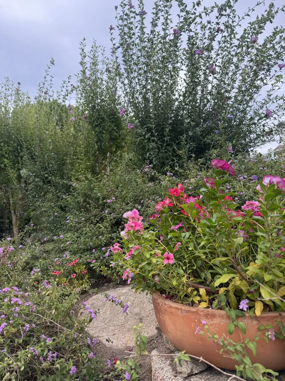Flores y vegetación en un jardín de Vida Verde
